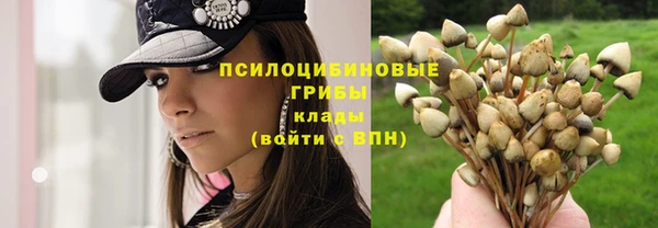 прущий лед Абаза