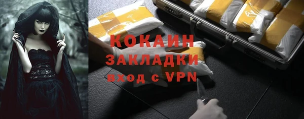 индика Абинск