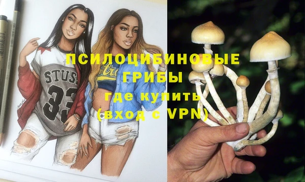 шишки Абдулино