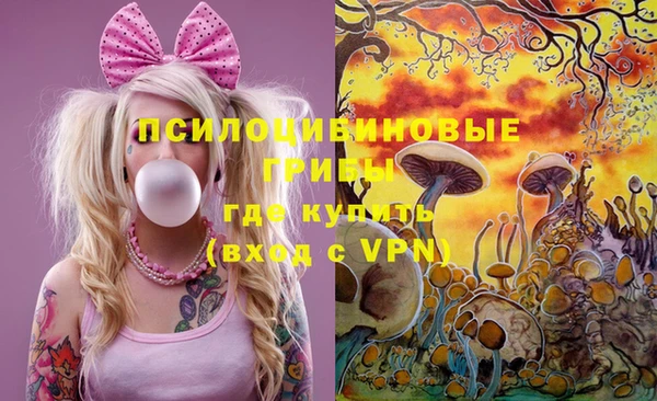 индика Абинск