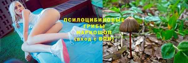 мяу мяу мука Алексеевка