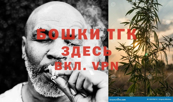 индика Абинск