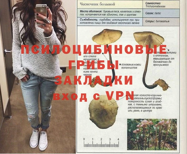 шишки Абдулино